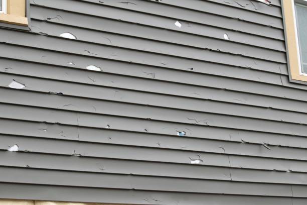 Best Shed Removal  in Los Angeles, CA